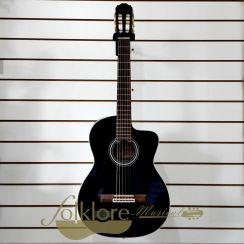 TAKAMINE EG124C